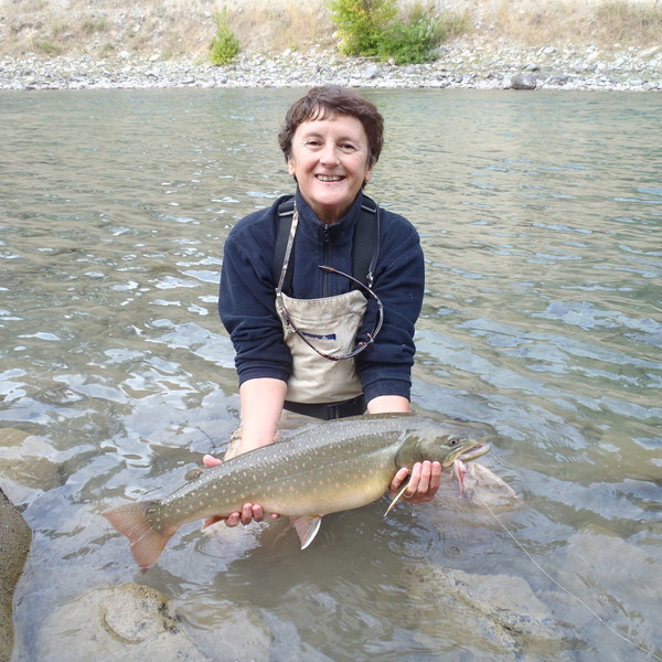 Donna Cloutier